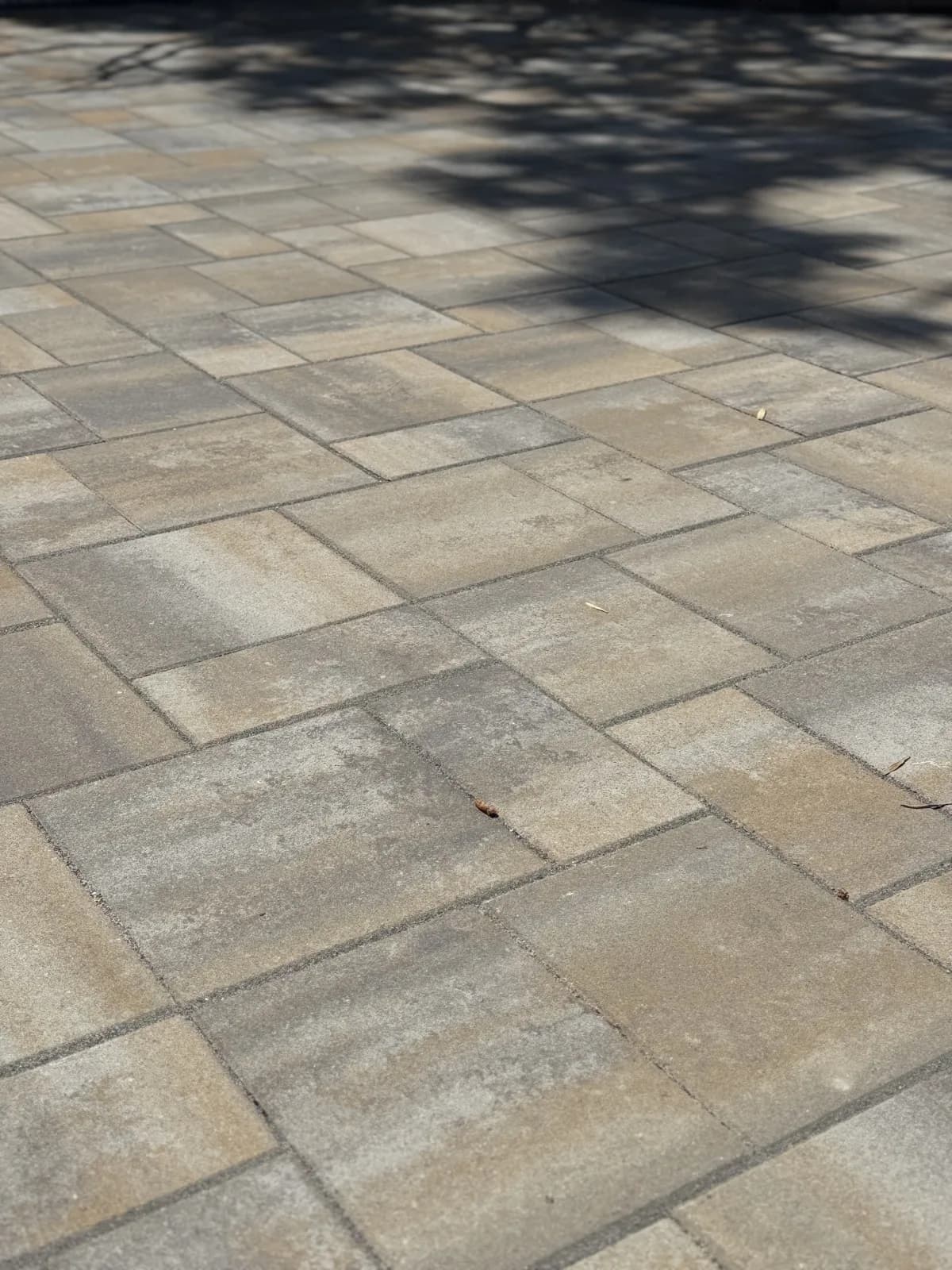 Close-up of a blended multi-size paver pattern