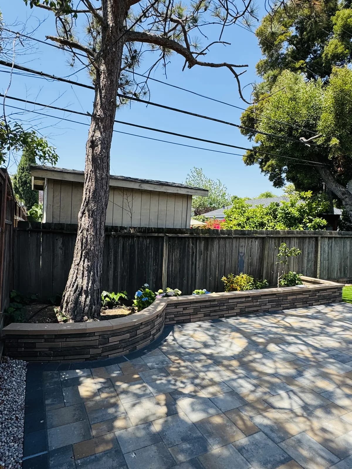 Curved block retaining wall planter with a paver path around a mature tree