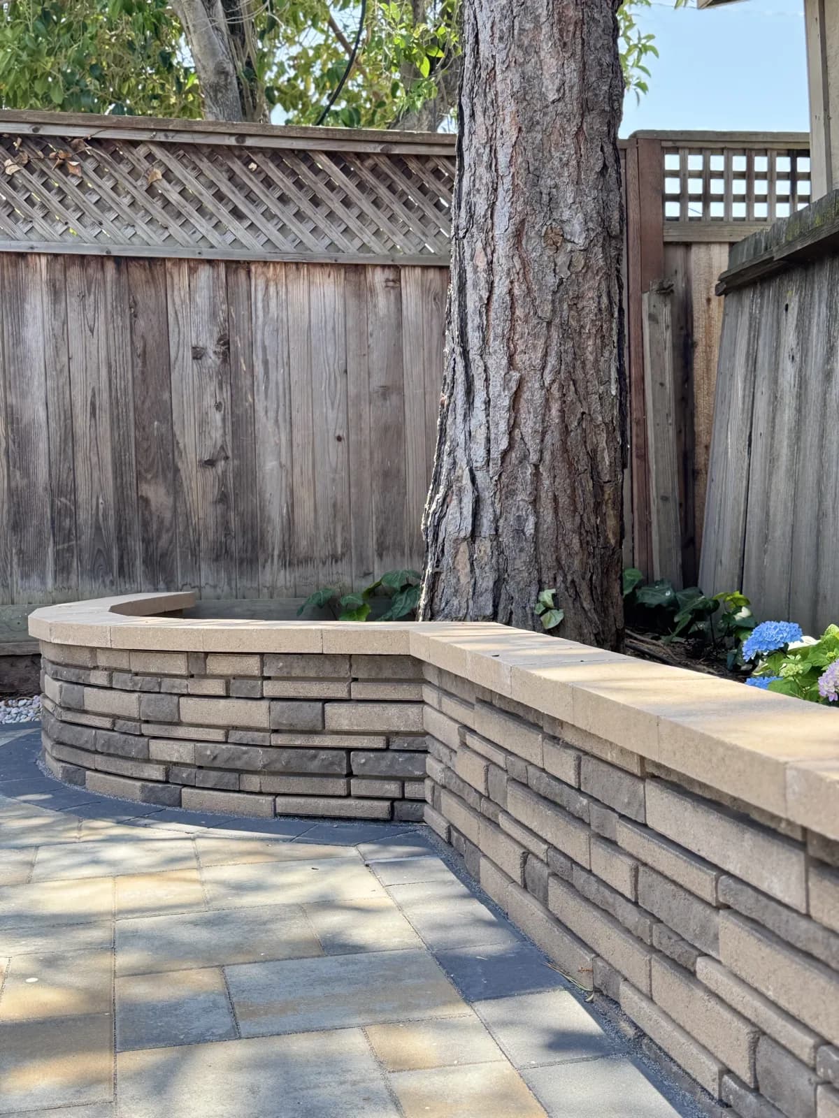 Curved block retaining wall planter around a tree beside a paver path