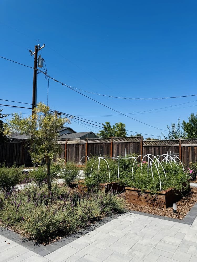 Landscaping project in Central Contra Costa