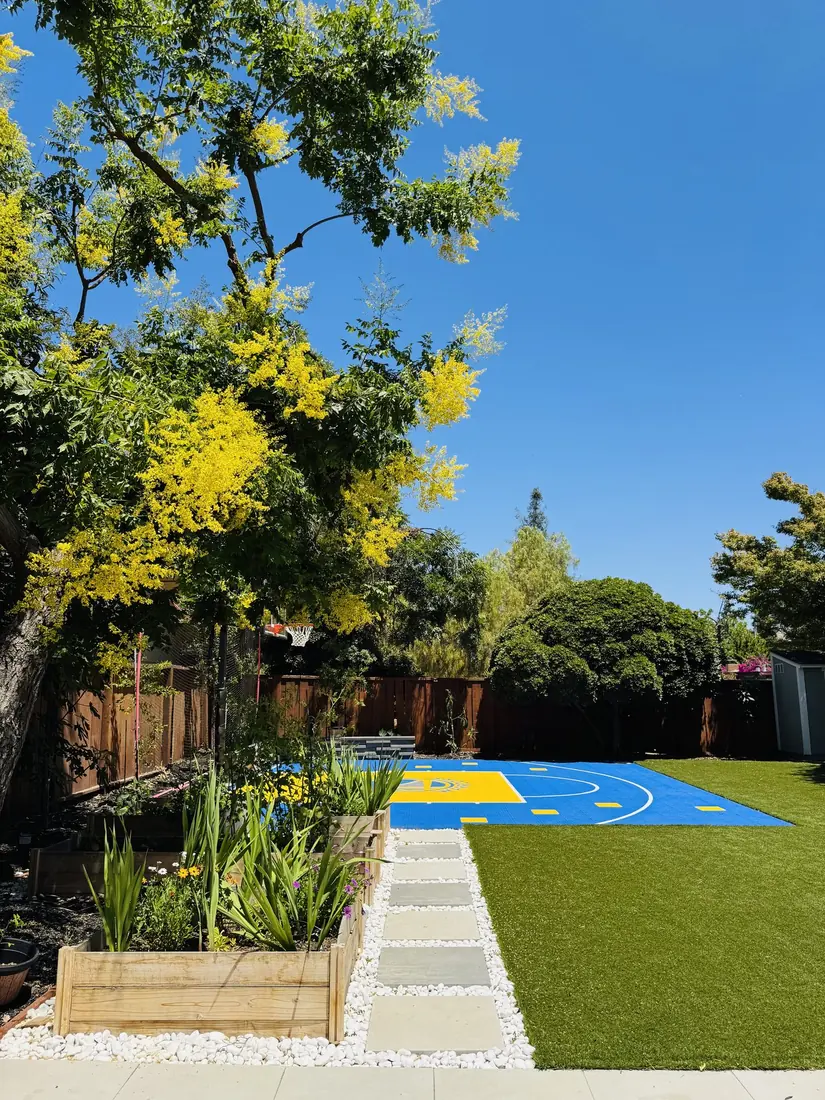 Main court view