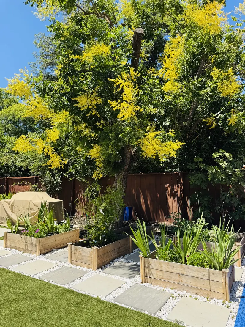 Raised bed
