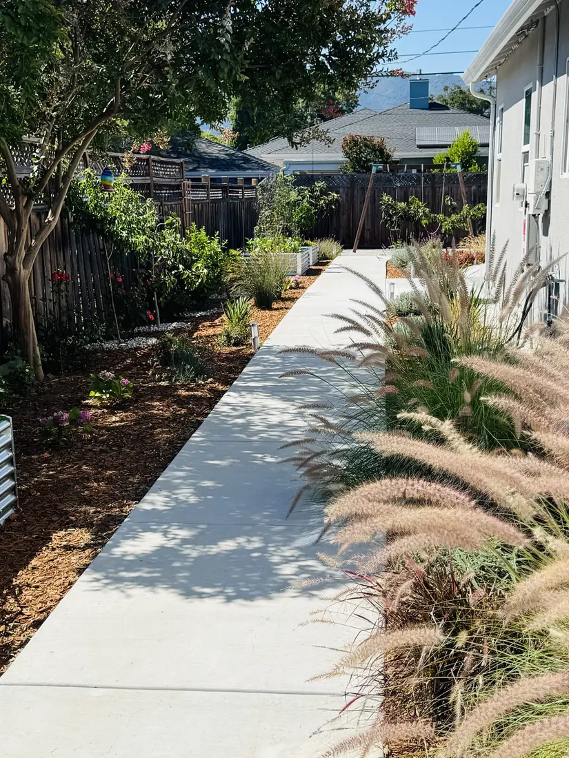 Side yard